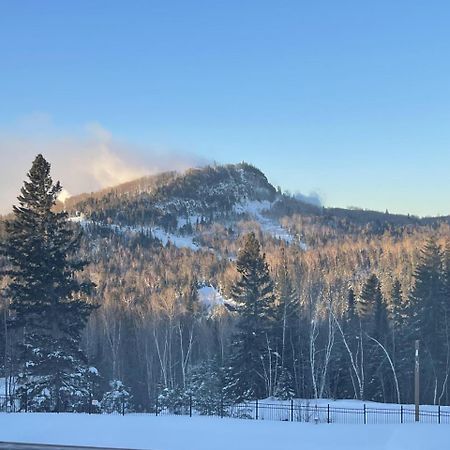 Lutsen Mtn Ski In Ski Out Pool Hot Tub Fire Pit Villa Exterior photo