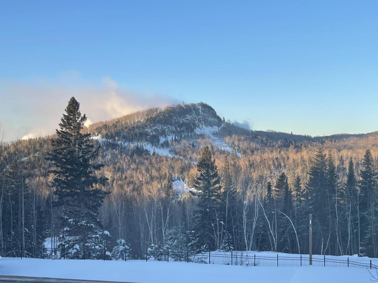 Lutsen Mtn Ski In Ski Out Pool Hot Tub Fire Pit Villa Exterior photo